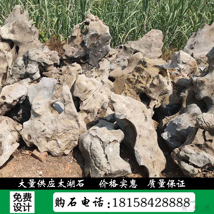 浙江太湖石產(chǎn)地直銷各類景觀石風景石