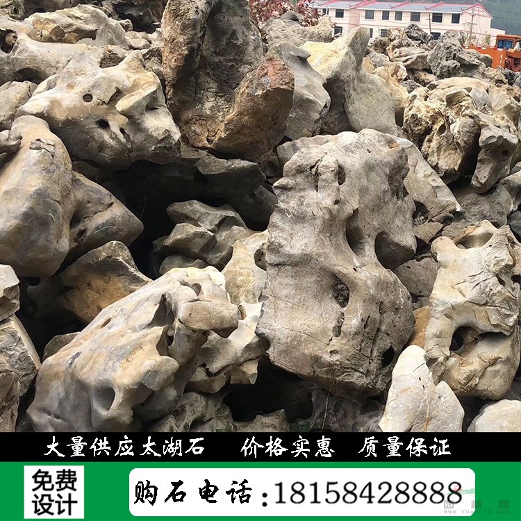 自然原石奇石浙江產(chǎn)地直銷白太湖石假山石