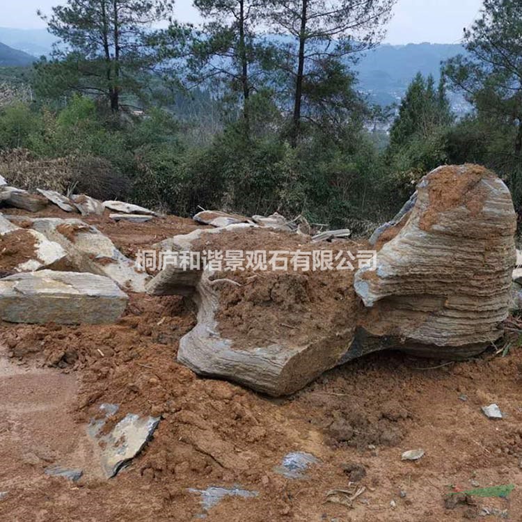 浙江供應(yīng)千層石假山石