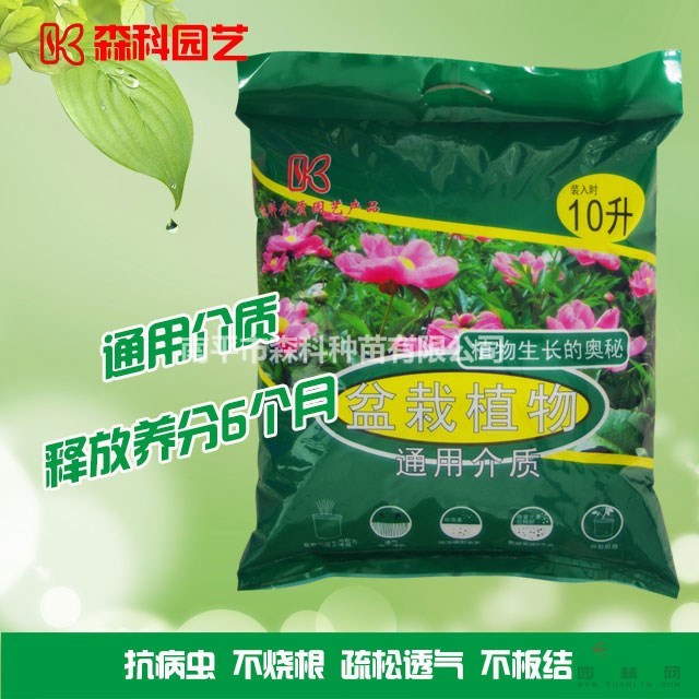 育苗基質(zhì)（盆栽花卉）