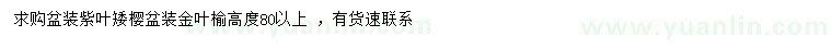 求購高80以上紫葉矮櫻、金葉榆