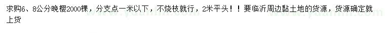 求購6、8公分晚櫻
