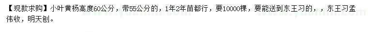 求購高60公分小葉黃楊