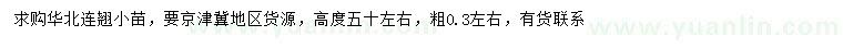 求購高50公分左右華北連翹小苗