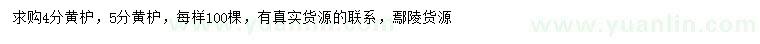 求購4、5公分黃櫨