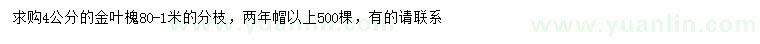 求購4公分金葉槐