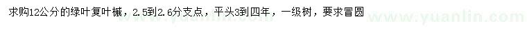 求購12公分綠葉復葉槭