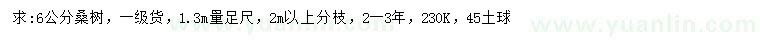 求購1.3米量6公分桑樹(shù)