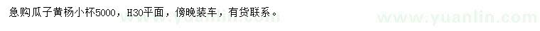 求購高30公分瓜子黃楊