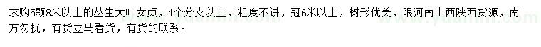 求購8米以上叢生大葉女貞