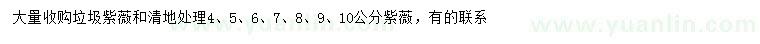 求購4、5、6、7、8、9、10公分紫薇