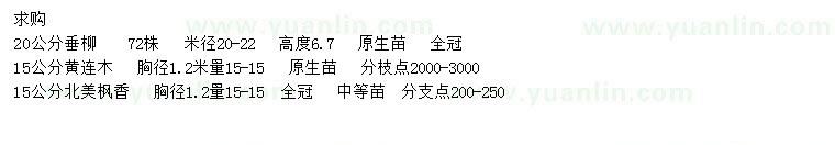 求購20公分垂柳