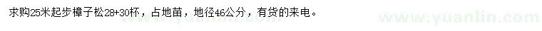 求購25米起步樟子松