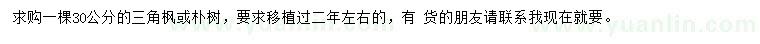 求購(gòu)30公分三角楓、樸樹(shù)
