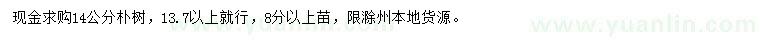 求購14公分樸樹