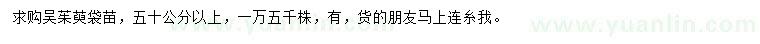 求購50公分以上吳茱萸