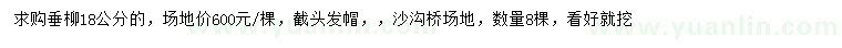 求購18公分垂柳