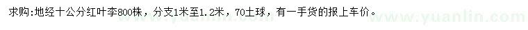 求購地徑10公分紅葉李