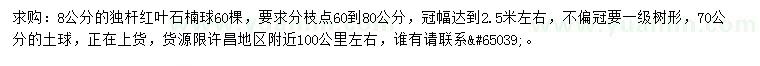 求購8公分紅葉石楠球
