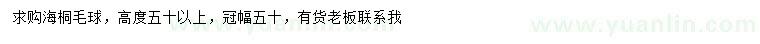 求購冠幅50公分海桐球
