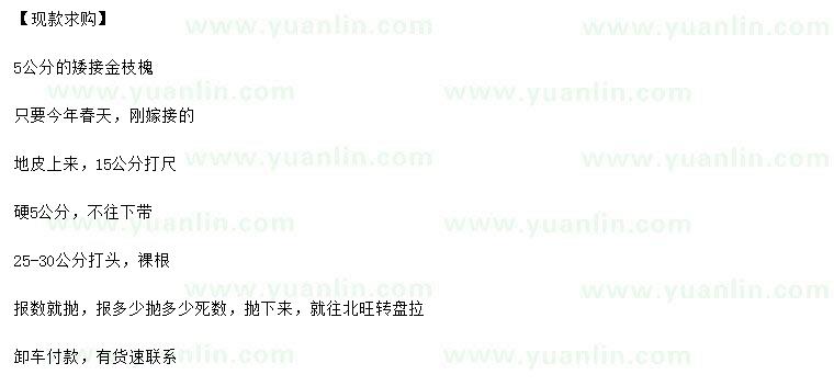求購(gòu)15量5公分金枝槐