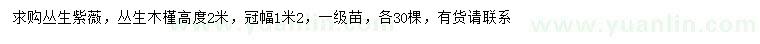 求購(gòu)高2米叢生紫薇、叢生木槿