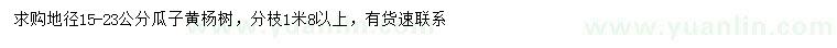 求購地徑15-23公分瓜子黃楊