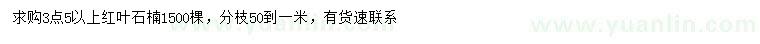 求購3.5公分以上紅葉石楠