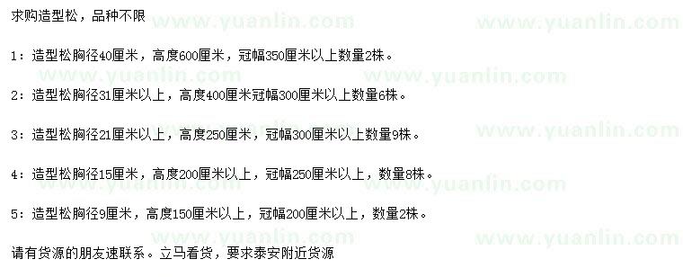 求購胸徑9、15、21、31、40公分造型松