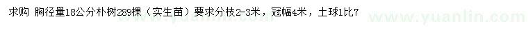 求購胸徑18公分樸樹