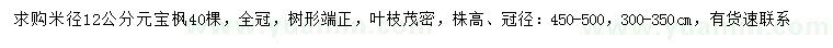 求購(gòu)米徑12公分元寶楓