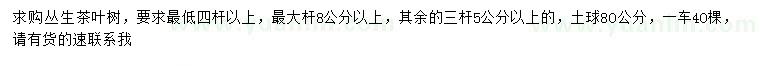 求購四桿以上叢生茶葉樹