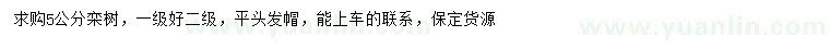 求購5公分欒樹
