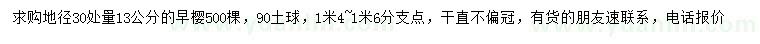 求購30量13公分早櫻