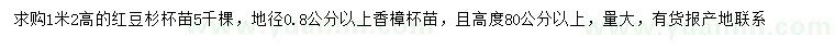 求購高1.2米紅豆杉、高80公分以上香樟