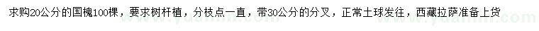 求購20公分國槐