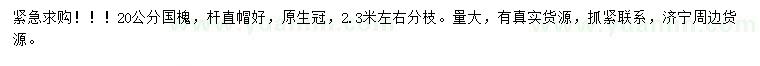 求購20公分國槐
