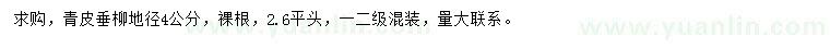求購地徑4公分青皮垂柳