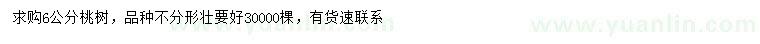 求購6公分桃樹