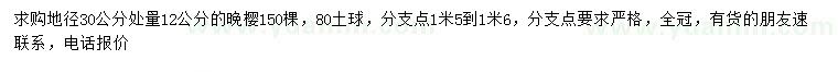求購30量12公分晚櫻