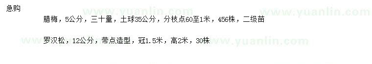 求購30量5公分臘梅、12公分羅漢松