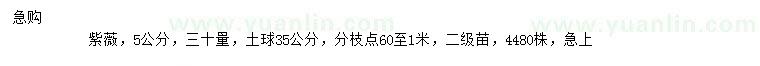 求購30量5公分紫薇