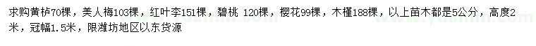 求購黃櫨、美人梅、紅葉李等