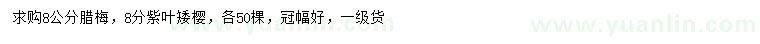 求購8公分臘梅、紫葉矮櫻