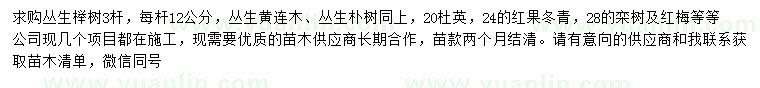 求購叢生櫸樹、叢生黃連木、叢生樸樹等