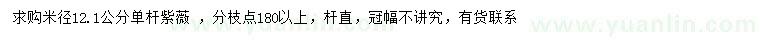 求購米徑12.1公分紫薇