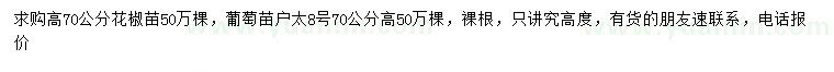 求購(gòu)高70公分花椒苗、葡萄苗