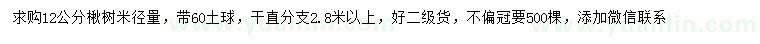 求購(gòu)米徑12公分楸樹