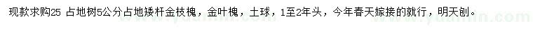 求購(gòu)5公分金枝槐、金葉槐