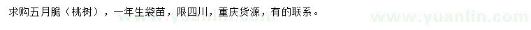 求購五月脆桃樹